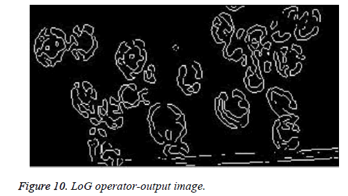 biomedres-Log-output