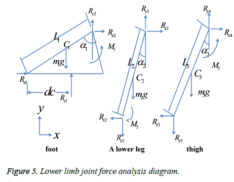 biomedres-Lower-limb