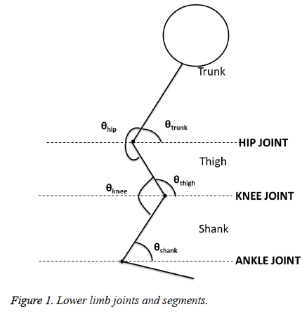 biomedres-Lower-limb