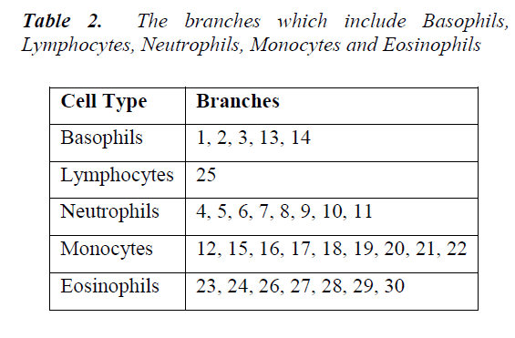 biomedres-Lymphocytes