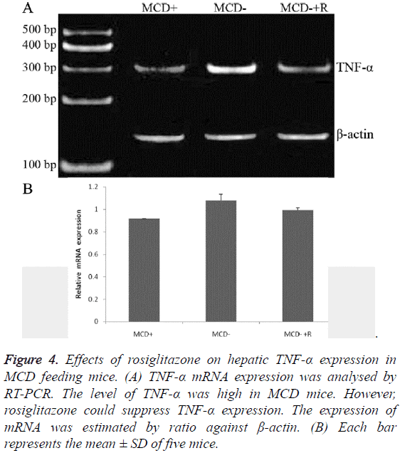 biomedres-MCD-feeding-mice