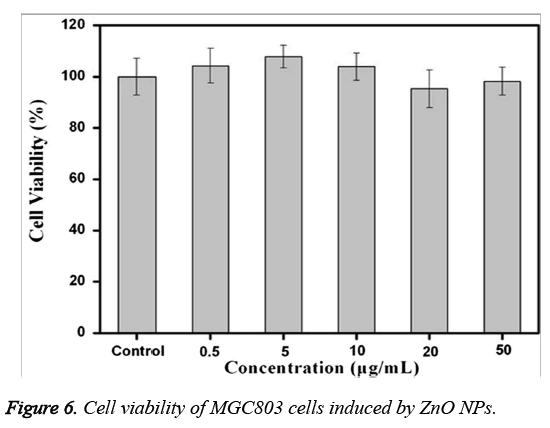 biomedres-MGC803-cells-induced