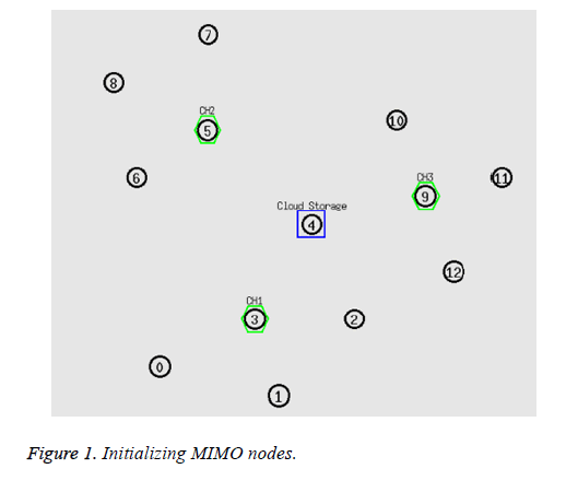 biomedres-MIMO-nodes