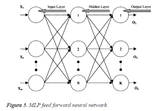 biomedres-MLP-feed