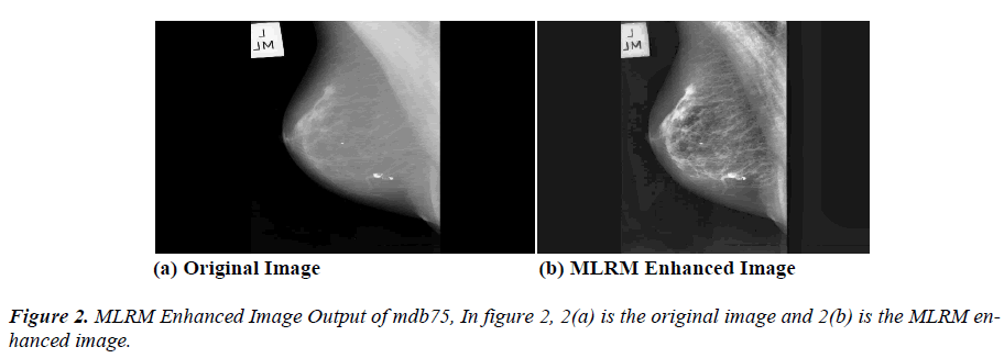 biomedres-MLRM-Enhanced-Image-Output