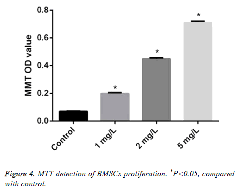 biomedres-MTT-detection