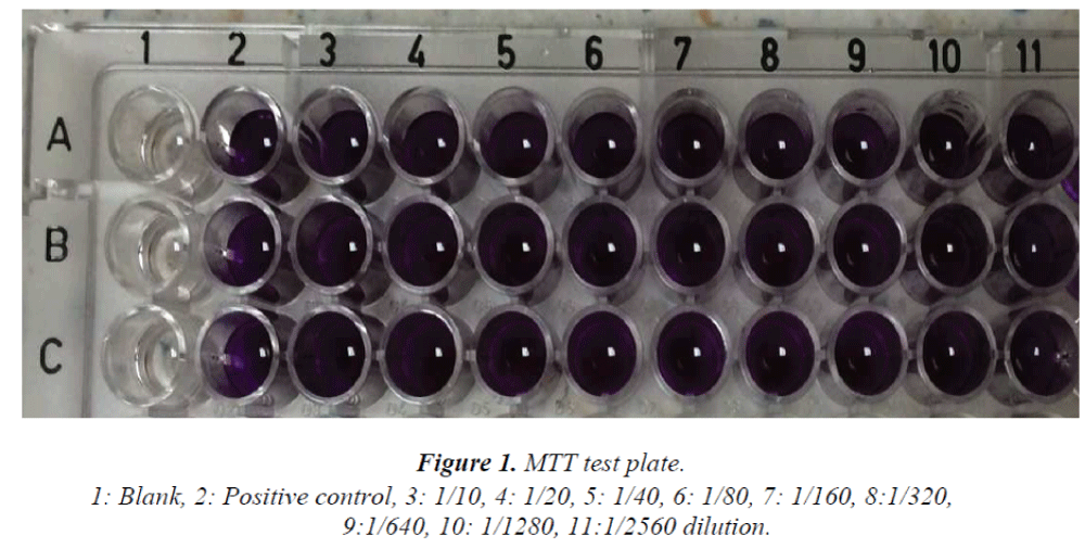biomedres-MTT-test-plate