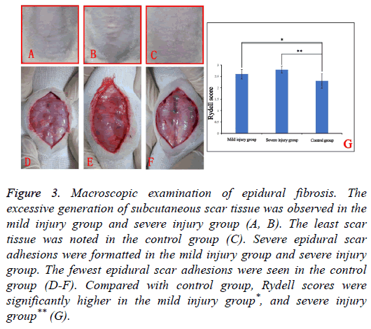 biomedres-Macroscopic-examination