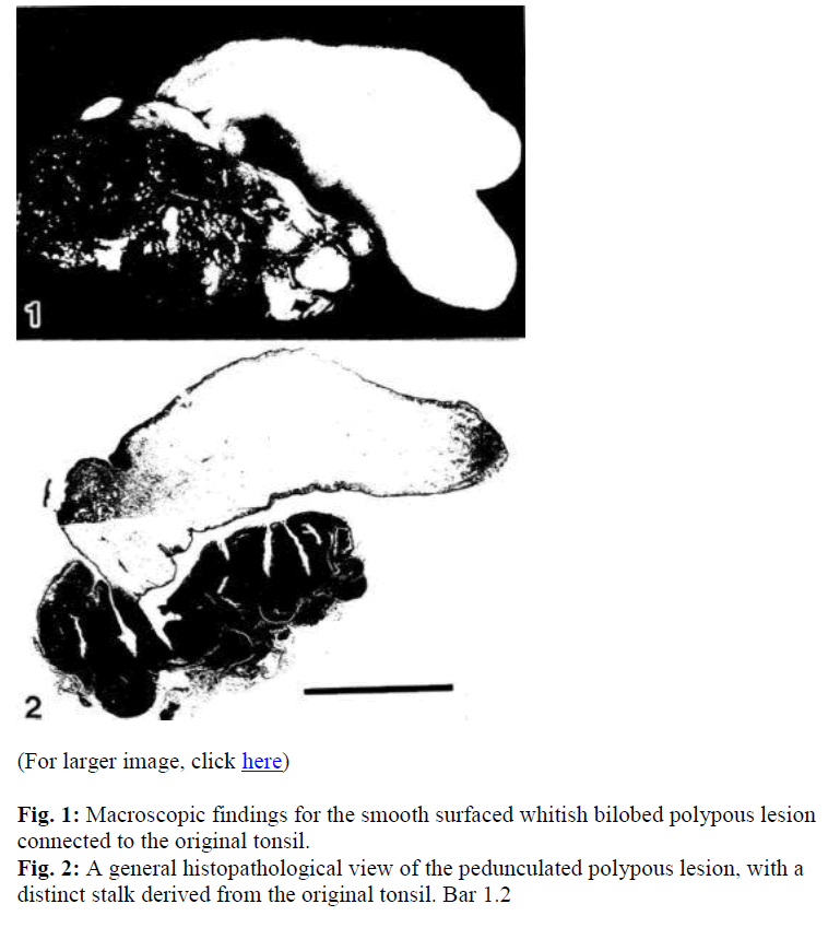 biomedres-Macroscopic-findings