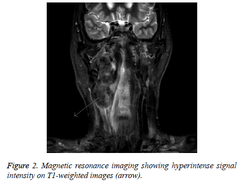 biomedres-Magnetic-resonance