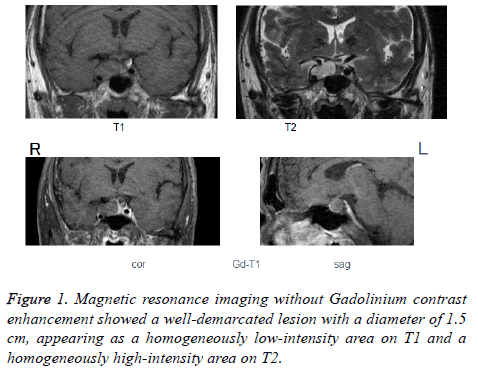 biomedres-Magnetic-resonance