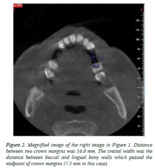 biomedres-Magnified-image