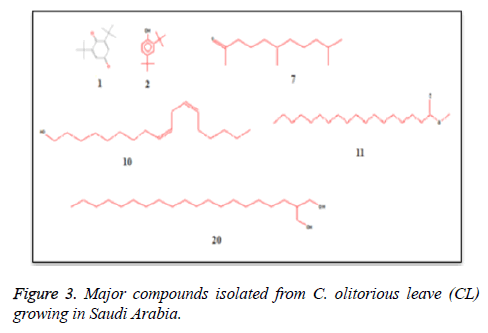 biomedres-Major-compounds