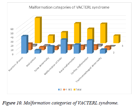 biomedres-Malformation-categories