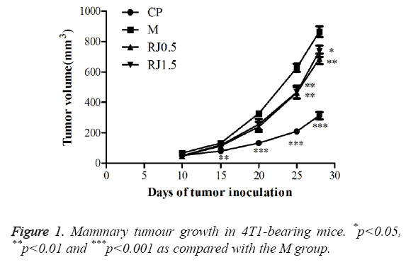 biomedres-Mammary-tumour-growth