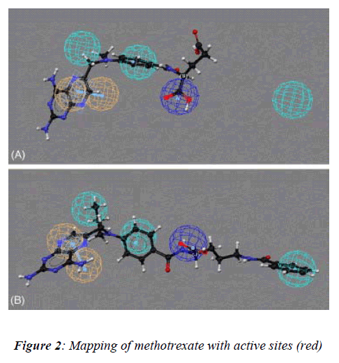 biomedres-Mapping-methotrexate