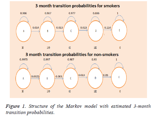 biomedres-Markov-model