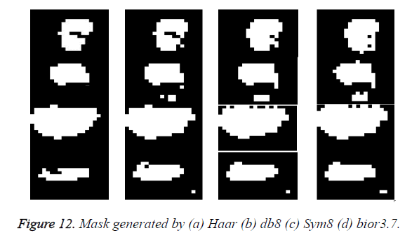 biomedres-Mask-generated