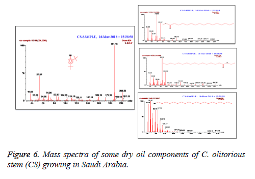 biomedres-Mass-spectra