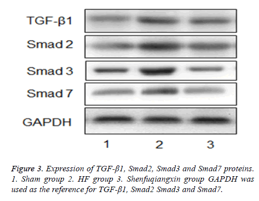 biomedres-Masson-observation