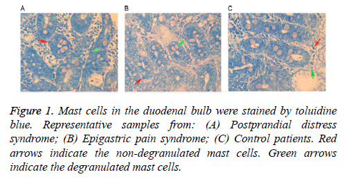 biomedres-Mast-cells