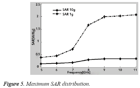 biomedres-Maximum-SAR-distribution