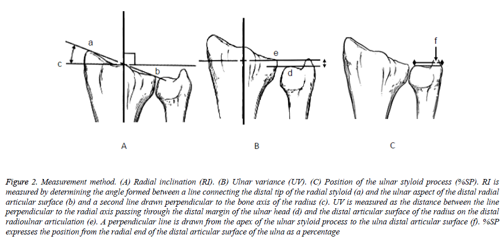 biomedres-Measurement-method