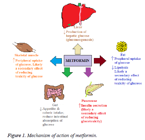 biomedres-Mechanism-action