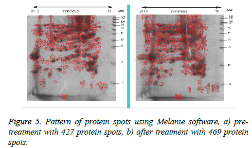 biomedres-Melanie-software