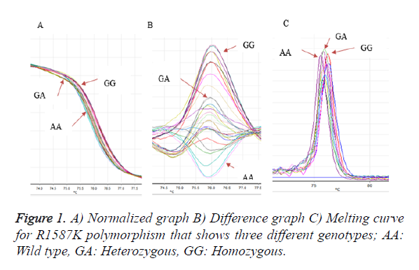 biomedres-Melting-curve