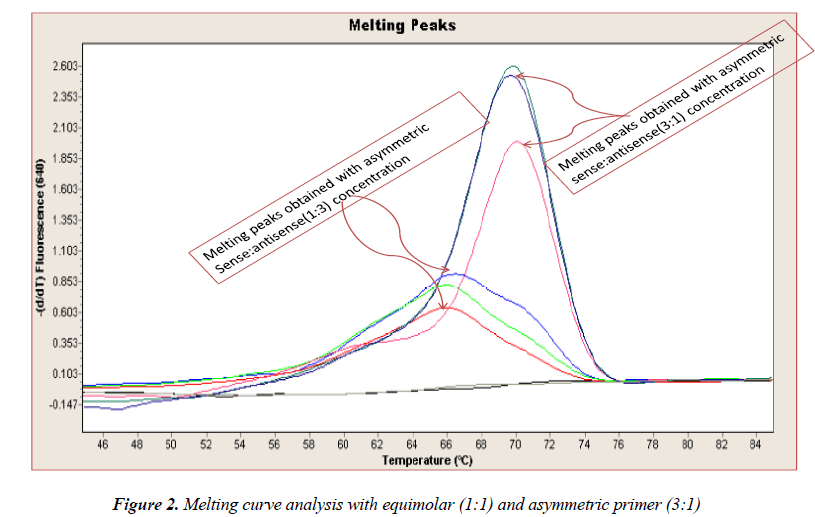 biomedres-Melting-curve-analysis