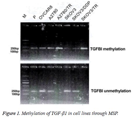 biomedres-Methylation