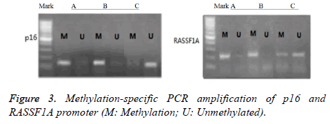 biomedres-Methylation-specific