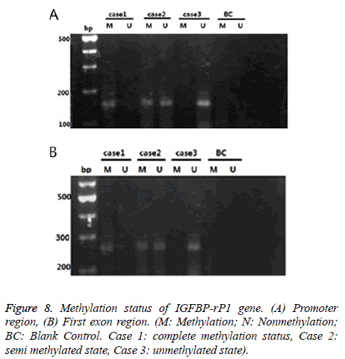 biomedres-Methylation-status