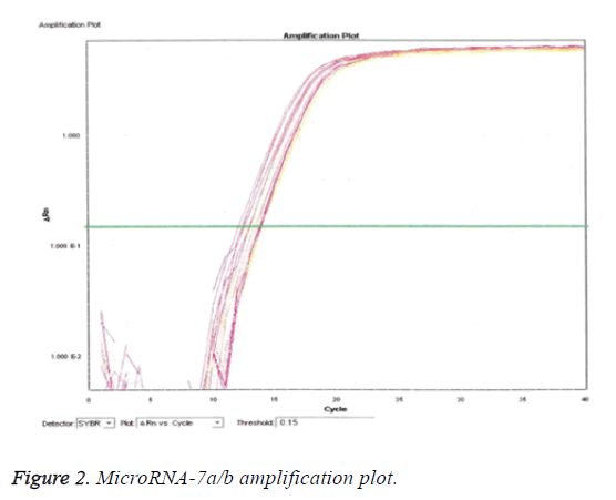 biomedres-MicroRNA-amplification-plot