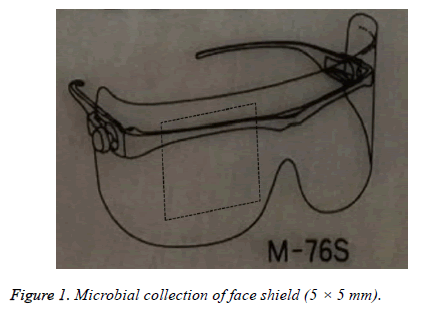 biomedres-Microbial-collection