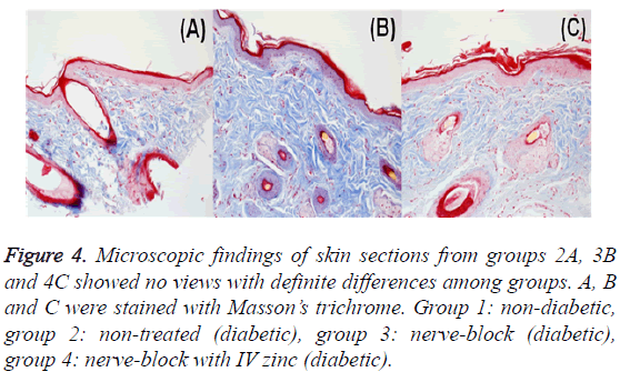 biomedres-Microscopic-findings-skin