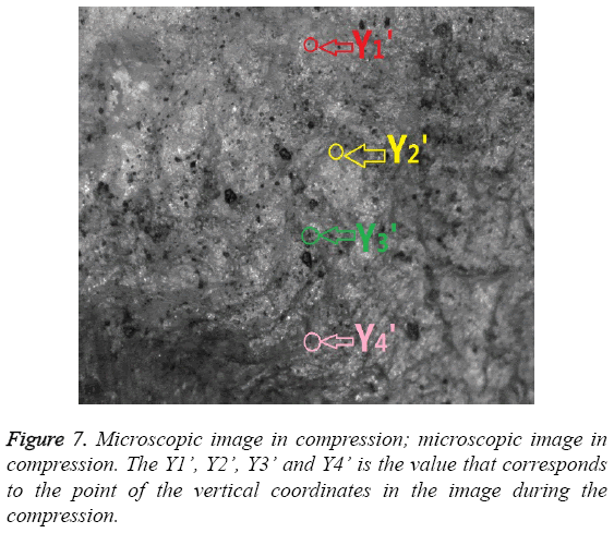 biomedres-Microscopic-image-compression