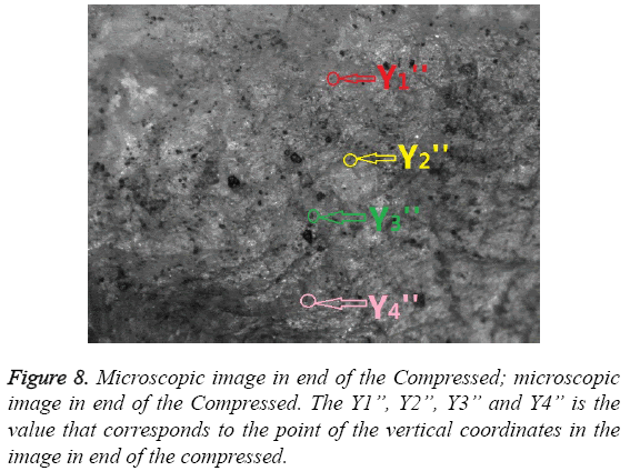 biomedres-Microscopic-image-end