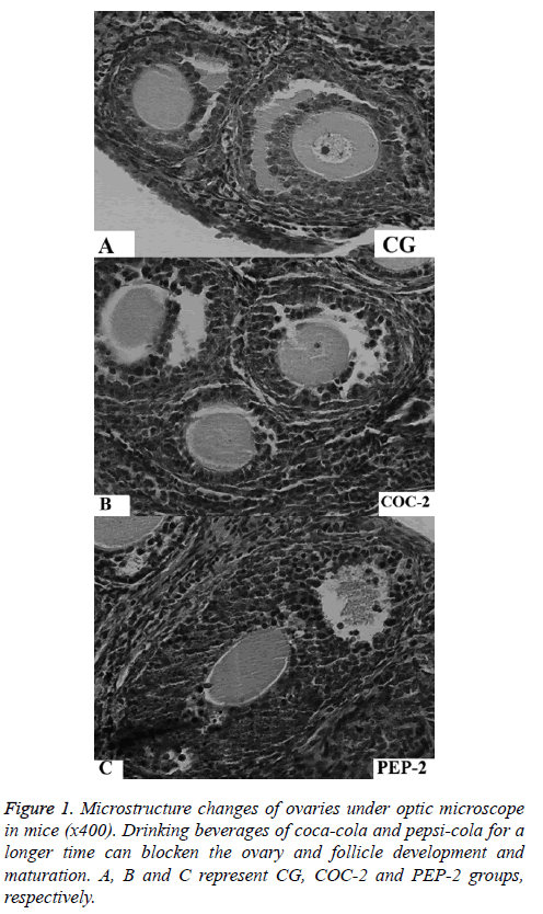 biomedres-Microstructure-changes