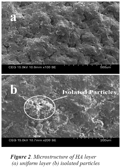 biomedres-Microstructure-uniform-isolated