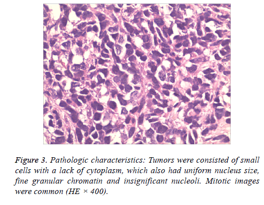 biomedres-Mitotic-images