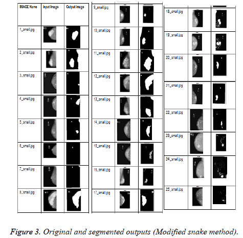 biomedres-Modified-snake-method