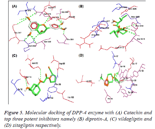 biomedres-Molecular-docking