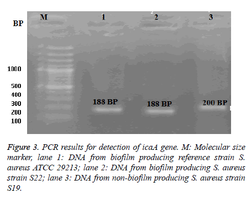 biomedres-Molecular-marker