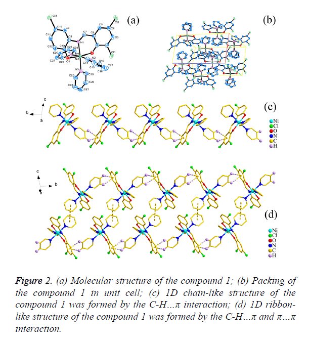 biomedres-Molecular-structure