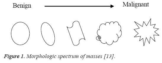 biomedres-Morphologic-spectrum-masses