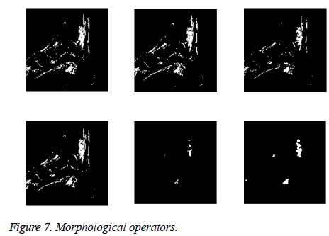 biomedres-Morphological