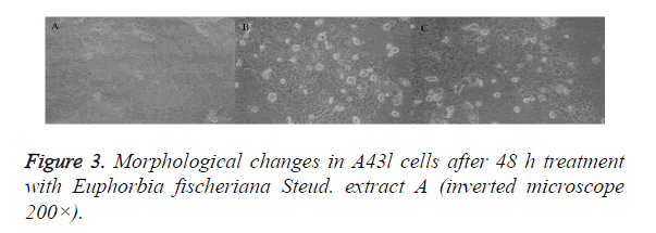 biomedres-Morphological-changes