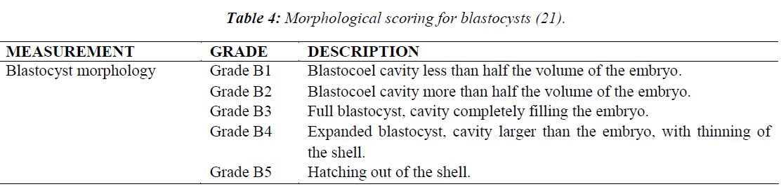 biomedres-Morphological-scoring